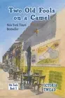 Two Old Fools on a Camel: From Spain to Bahrain and back again by Victoria Twead