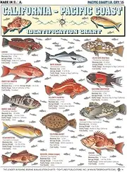 California to Pacific Coast Fish Identification #15 - Waterproof Quick Reference Guide | Portable & Built to Last | Double-Sided & Easy to Read | (Size, Weight, Location, Food Quality, and Coloring)