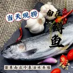 ［饗漁水產］苗栗南庄冷泉養殖 鱒魚 每天現撈黑貓冷凍出貨（滿$2000免運）/ 另售鱘龍魚、黑鱸魚、餐廳食材歡迎詢問