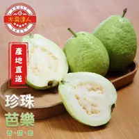 在飛比找松果購物優惠-【水果達人】產地直送！珍珠芭樂禮盒8斤 (6.3折)