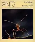 The Ants by Holldobler, Bert