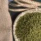 台灣品種～印尼栽種【淳歆】毛綠豆/Mung Bean 600g (超取限重5㎏)