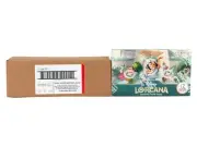 DISNEY LORCANA TCG ARCHAZIA'S ISLAND BOOSTER 4-BOX CASE