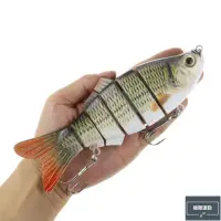 在飛比找蝦皮購物優惠-精選·海釣餌大號6節魚路亞餌19.5cm111.5g 沉水仿