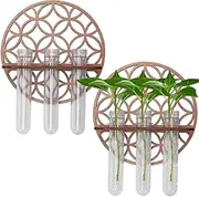 ZFLYCANP 2 Pcs Wall Hanging Planter, Practical Hanging Propagation Station, Water Plant Containers for Hydroponics Plants Bathroom Home Office Living Room Decor Gift