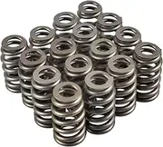 SUSUCAR 1218 Drop-In Valve Springs Set of 16, Beehive Springs Kit Compatible with LS-Series GEN III IV .600" Lift Rated