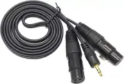 5Feet Dual Female XLR to 3.5Mm TRS Stereo Y-Adapter Cable Unbalanced 3.5Mm Mini
