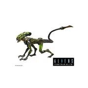 Neca Aliens: Fireteam Elite Burster 7'' Scale Action Figure Collectible Toy 17+