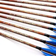 12 x 31 Carbon Arrows Feather Compound Recurve Bow Hunting Target Spine 500