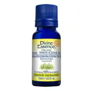 Organic Essential Oil Cedar White (Cedar leaf), 15 Ml by Divine Essence
