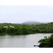 Dera Baghdarrah Nature Retreat Udaipur
