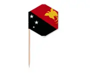 Papua New Guinea National Flag Oceania Country Toothpick Flags Cupcake Picks Party Celebration