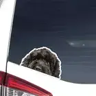 Black Cockapoo Car Sticker Peeking Realistic Cockapoo Head Decal Bumper Window