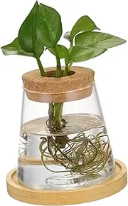 HANABASS Hydroponic Vase Glass Plant Propagation Station Minimalist Desktop Planter for Indoor Plants Elegant Aesthetic Design Sturdy and Space Saving Home Decor