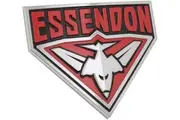 AFL Essendon Bombers Chrome Supporter Badge 3D Team Fan Emblem Car Fridge Metal