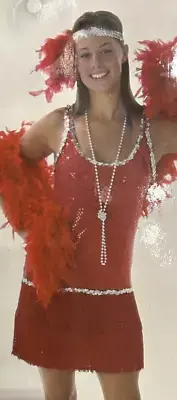 Women's Sequin and Fringe Red Flapper 1920s Dress Costume SIZE M (NEW)