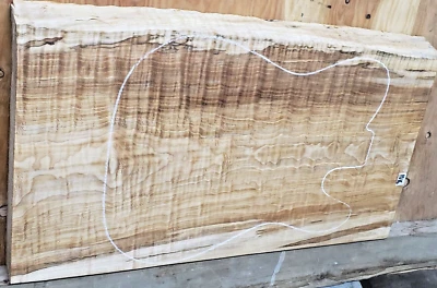 Black-line Spalted Maple Wood 1016 Luthier One pc. Full body blank 23x 14.5x 1.5