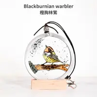 在飛比找蝦皮購物優惠-【Blackburnian warbler橙胸林鶯】彩繪玻璃
