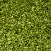 DIY Turf 3.75 x 1m Lifestyle Synthetic Turf