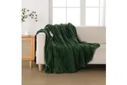 Dreamaker Coral Fleece Heated Throw Blanket Eden Green 180x200cm