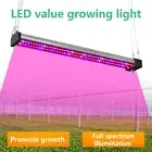 Full Spectrum Lamp Non-glaring Encourage Budding Full Spectrum Led Growth Light