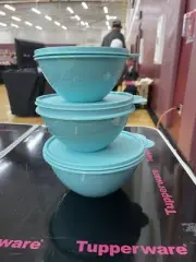 Tupperware 6pc (set of 3) Wonderlier Bowl Food Storage Set