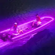 LED Black Light Night Fishing LED Strip UV Ultraviolet boat bass fishing 12v+