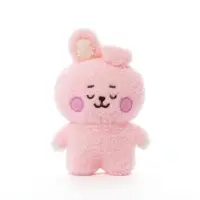 在飛比找蝦皮購物優惠-BTS BT21 日本官網購入 cooky絨毛娃娃 S號 l