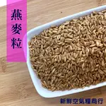 新鮮空氣糧商行 精選燕麥粒(生) 600G 就是新鮮 實在 精選 蝦皮店到店及超商取貨最多7包1台斤