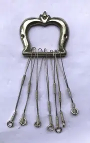 Saraswati Veena Professional Nagapasanam or Naga Pasha