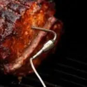 Fireboard Food Probe Thermometer