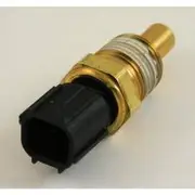 RAE Coolant Temperature Sensor - CS931