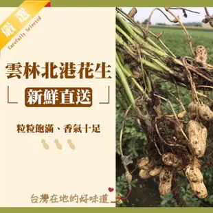 【布田食品】布田花生糖(低糖/精美罐裝) 古早味 零嘴 茶點 配茶