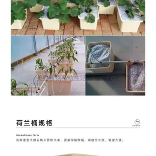 食品級高端水耕箱組合 家庭陽臺種菜盆 荷蘭桶 無土栽培花盆栽 屋頂樓頂蔬菜水培桶 總有機蔬菜水果專用桶設備