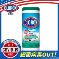 在飛比找PChome24h購物優惠-美國CLOROX 高樂氏居家清潔殺菌濕紙巾-清新香(35片)
