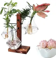 Terrarium with Stand | Hydroponic Bulb Glass Vase | Modern Air Planter Bulb Glass Vase with Wooden Stand Bulb Beaker Glass Vase for Hydroponics Plants