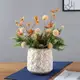 孤品陶瓷花盆北歐現代簡約外貿出口大號園藝插花擺件花藝花瓶花器