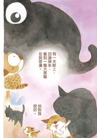 為什麼貓都叫不來。最終 (書衣海報版)