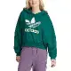 ADIDAS 女 ORIGINALS GRADIENT HOODIE 流行 休閒連帽T(長)-IR6043 廠商直送