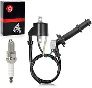 Ignition Coil Pack & Spark Plug Cap Compatible with Suzuki Quadracer 450 LTR450 2006-2009 RMZ 450 RM-Z450 L0/L1/K8/K9 2005-2012 33410-45G00 33510-35G00 33410-35G10 33510-28H00