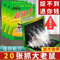 在飛比找蝦皮購物優惠-【桃園出貨】🔥特惠粘鼠板老鼠貼強力膠粘大老鼠宿舍出租房沾抓滅