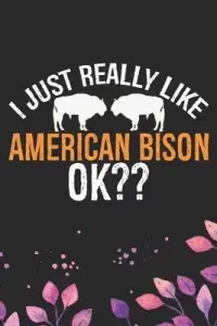 在飛比找博客來優惠-I Just Really Like American Bi