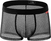 [Evankin] Mens Sexy Boxer Briefs Mesh Breathable Underwear See Through Lingerie Panties Trunks with Bulge Pouch
