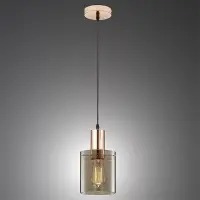 在飛比找momo購物網優惠-【Honey Comb】工業風煙灰色電鍍玻璃吊燈(F5038