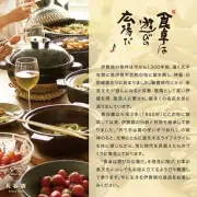 Iga Powder Drawing Coffee Cup and Saucer 120ml Haseen Mag Cup with From Japan
