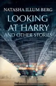 Looking at Harry and Other Stories by Natasha Illum Berg Paperback Book