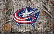 FANMATS 19139 Team Color 19" x 30" Columbus Blue Jackets Scraper Mat (NHL Camo)