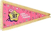 SAN-EI Kirby 30th Pennant