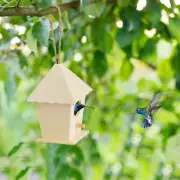 Large Dox House Bird House Bird House Bird Box Bird Box Wooden Box Large Sticky