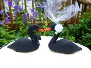 Black Swan Wedding Cake Topper Love Birds Bride Groom Engagement Anniversary